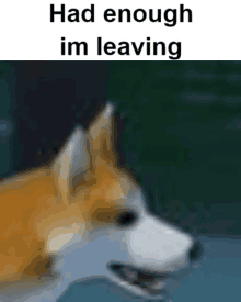 a picture of a dog with the words `` had enough im leaving '' above it