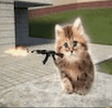 a kitten is sitting on a sidewalk holding a toy gun .