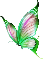 a butterfly with green and pink wings is flying in the air