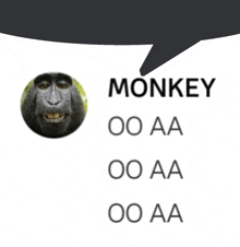 a picture of a monkey with a speech bubble above it that says monkey oo aa oo aa oo aa