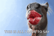 a picture of a horse with red lips and the words this is all i have to say