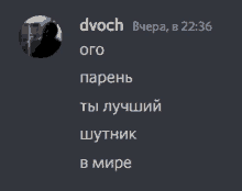 a screenshot of a person 's profile with the name dvoch at the top