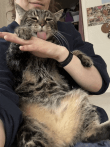 a woman is holding a cat with its tongue out