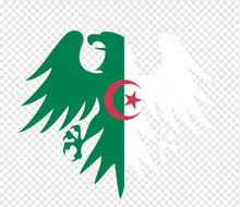 a green and white eagle with a red star in the middle