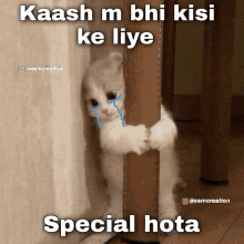 a cat with tears in its eyes behind a pillar with the caption kaash m bhi kisi ke liye special mota