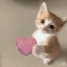 a small kitten is holding a pink heart in its paws .