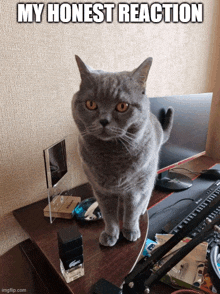 a cat standing on a desk with a bottle of lacoste nail polish on it