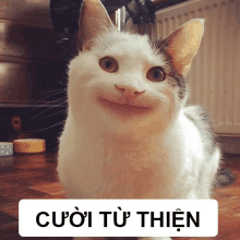 a cat with a smile on its face next to a sign that says cuoi tu chien