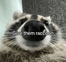 a close up of a raccoon with the words give them raccoon above it