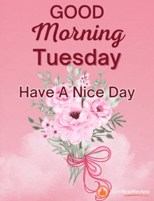 a bouquet of pink flowers on a pink background with the words " good morning tuesday have a nice day "