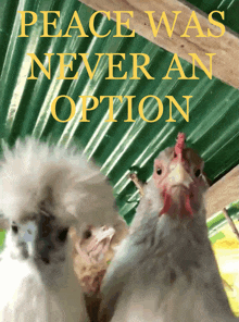 a poster with chickens and the words " peace was never an option "