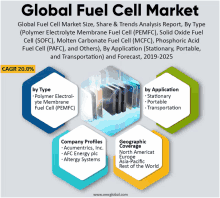 global fuel cell market size share & trends analysis report by type