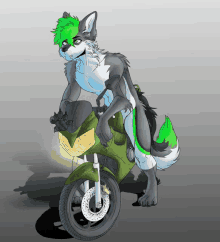 a cartoon of a wolf riding a motorcycle with green hair