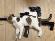 a cat laying on a wooden floor next to a gun