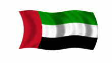 the flag of the united arab emirates is flying in the wind