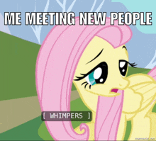 a cartoon of a pony with a caption that says me meeting new people