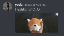 a person holding a stuffed animal with the word fleshlight written below it