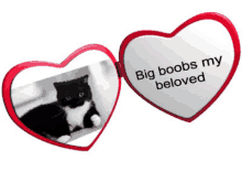 a heart shaped mirror with a picture of a cat and the words " big boobs my beloved " on it