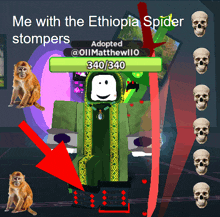 a screenshot of a video game that says me with the ethiopia spider stompers adopted