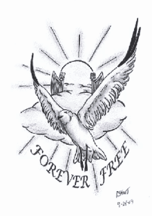 a black and white drawing of a seagull with the words forever free