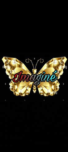 a gold butterfly with the word imagine on it 's wings