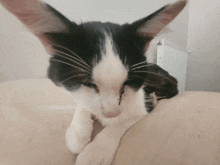 a black and white cat is laying on a person 's arm