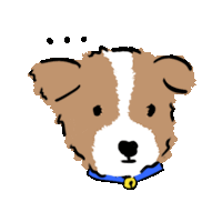 a brown and white dog with a blue collar on