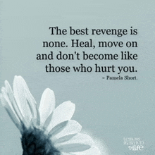 the best revenge is none heal move on and don 't become like those who hurt you pamela short