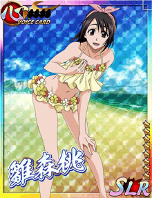 a picture of a girl in a bikini with the words voice card slr on it