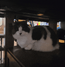 a black and white cat is sitting under a wooden table