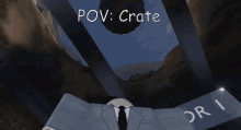 a screenshot of a video game that says pov: crate