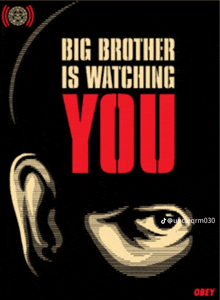 a poster that says " big brother is watching you " on it