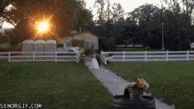 a bride and groom are walking down a path in front of a white fence with the sun shining through it