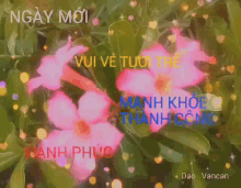 pink flowers are surrounded by green leaves and the words " ngay moi vui ve tuot tre "