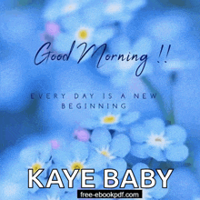 a picture of blue flowers with the words good morning kaye baby on it