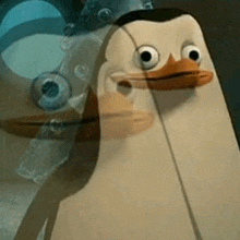 a penguin from spongebob squarepants is making a funny face and looking at the camera .