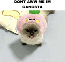 a cat wearing a pink hat that says dont aww me im gangsta on it