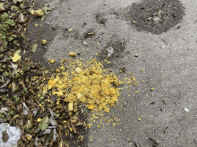 a pile of yellow powder on the ground