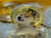 a gold coin with a dog on it that says wow on it