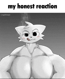 a cartoon drawing of a white cat with huge breasts and the caption my honest reaction