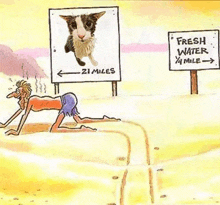 a cartoon of a man crawling in the sand next to a sign that says `` fresh water 1⁄2 mile '' .