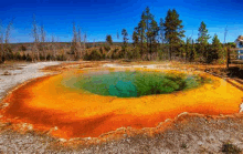 a large colorful pool of water in the middle of a forest .