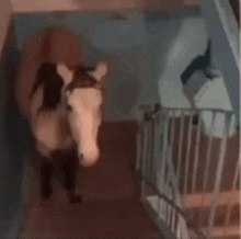 a brown and white horse is walking down a hallway next to a staircase .