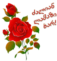 a red rose with green leaves is on a white background with a greeting in another language