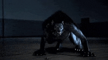 a werewolf is crawling on its hind legs on the floor in a dark room .