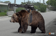 a bear with a machine gun on its back is on a street