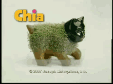 a picture of a black cat with the word chia on it