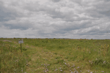 a sign in the middle of a grassy field points to a parking area