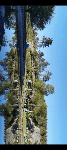 a reflection of trees in a body of water with a blue sky in the background