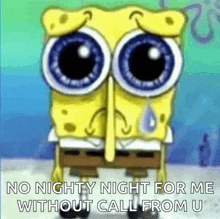 spongebob squarepants is crying and says no nightly night for me without call from u